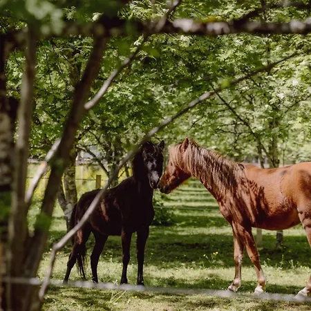 Mariengut - Kramer Wagrain