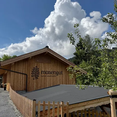 Mariengut - Kramer 4* Wagrain