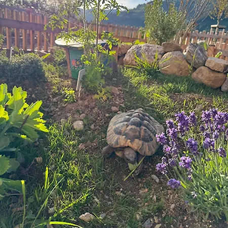 Mariengut - Kramer 4* ヴァークライン