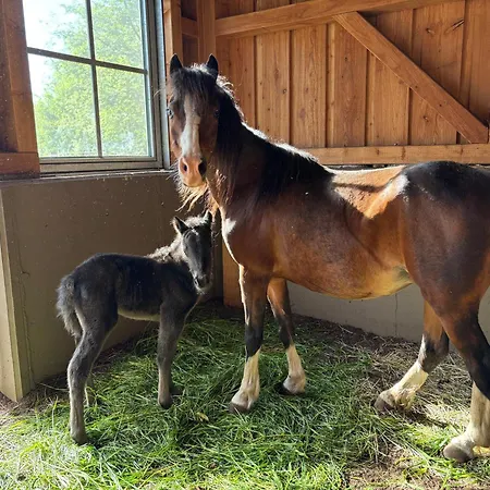 Mariengut - Kramer アパート 4*