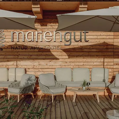 Mariengut - Kramer 4* Wagrain