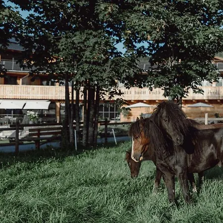 Mariengut - Kramer ヴァークライン