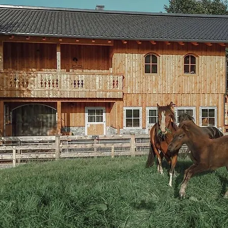 Mariengut - Kramer Appartement Wagrain
