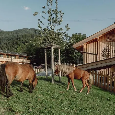 Mariengut - Kramer 4* ヴァークライン