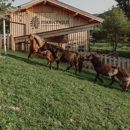 Mariengut - Kramer Daire 4*