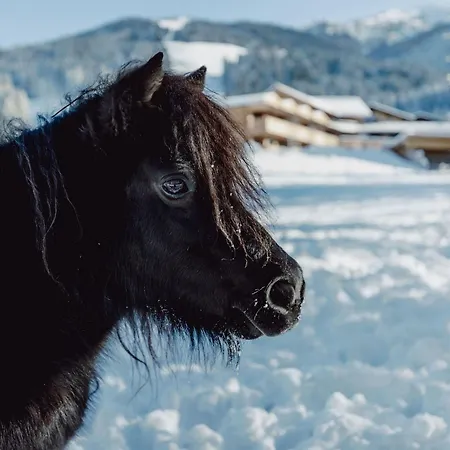 Mariengut - Kramer Daire Wagrain