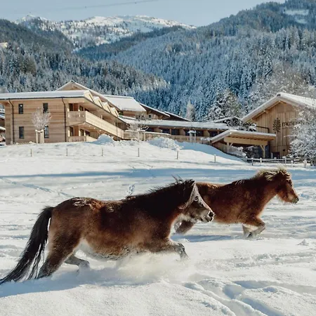 Mariengut - Kramer Daire Wagrain