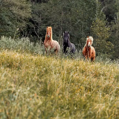 Mariengut - Kramer ヴァークライン