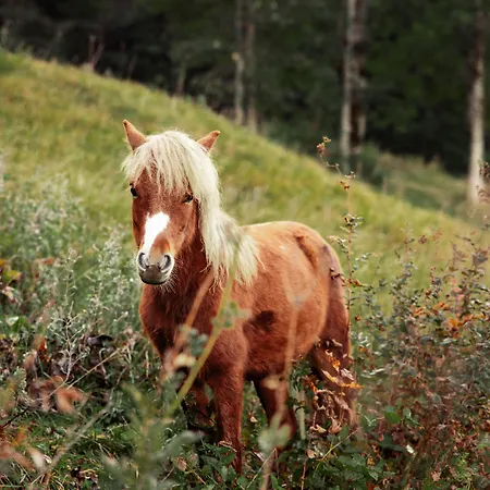 Mariengut - Kramer ヴァークライン
