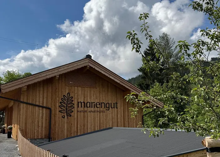 Mariengut - Kramer 4* Wagrain