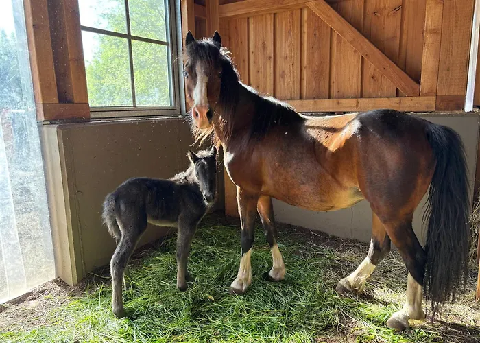 Mariengut - Kramer Apartmán 4*