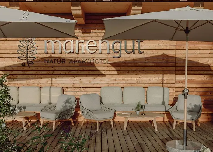 Mariengut - Kramer 4* Wagrain