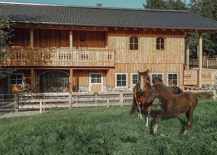 Mariengut - Kramer Apartmán Wagrain
