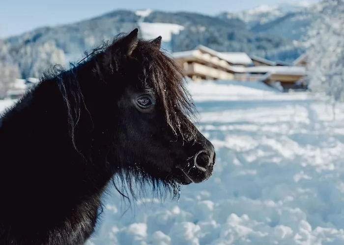 Mariengut - Kramer Apartmán Wagrain