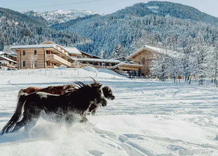 Mariengut - Kramer Wagrain