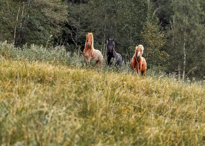 Mariengut - Kramer Wagrain